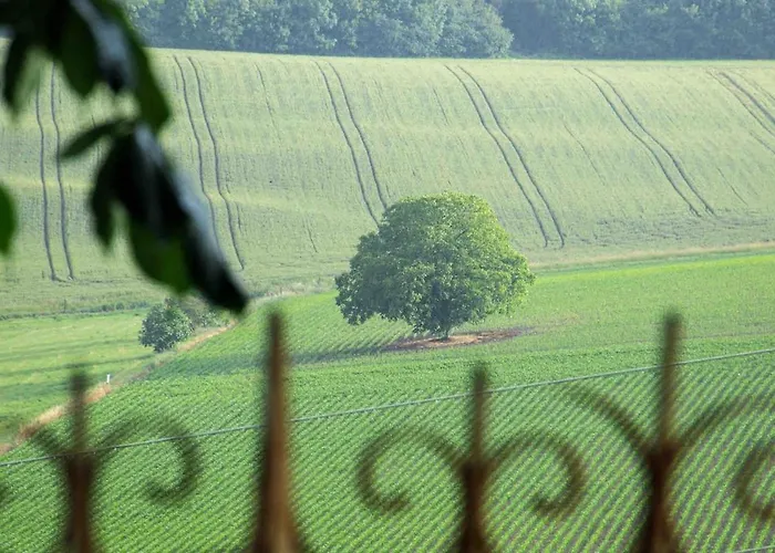 Grande Maison Familiale, Vue Incroyable Et Piscine Saint-Babel